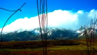 Backdrop to the movie "Journey to the Center of the Sound" #597733