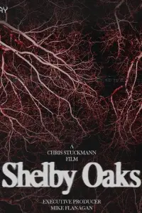 Poster to the movie "Shelby Oaks" #1003995