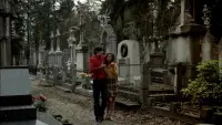 Backdrop to the movie "The Iron Rose" #782244