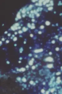 Poster to the movie "Song 21" #1045044