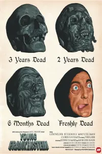 Poster to the movie "Young Frankenstein" #793466