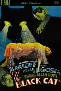 Poster to the movie "The Black Cat" #979707