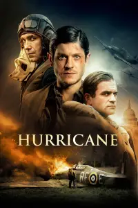 Poster to the movie "Hurricane" #1090550