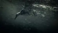 Backdrop to the movie "Leviathan" #788445