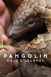 Poster to the movie "Pangolin: Kulu