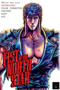 Poster to the movie "Fist of the North Star" #1046268