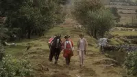 Backdrop to the movie "Barry Lyndon" #819255