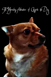 Poster to the movie "The Marvelous Adventure of Chispita the Dog" #1123523