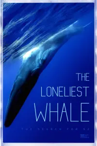 Poster to the movie "The Loneliest Whale: The Search for 52" #1021007
