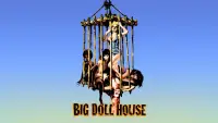 Backdrop to the movie "The Big Doll House" #1030447