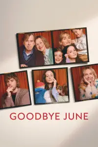 Poster to the movie "Goodbye June" #1055304