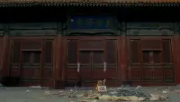 Backdrop to the movie "Farewell My Concubine" #768703
