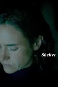 Poster to the movie "Shelter" #730137