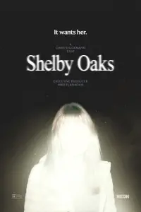 Poster to the movie "Shelby Oaks" #523011