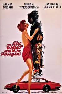 Poster to the movie "The Tiger and the Pussycat" #1064150