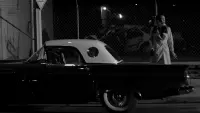 Backdrop to the movie "A Girl Walks Home Alone at Night" #746049