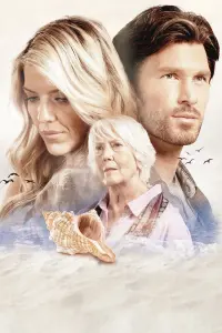 The Shell Collector