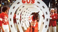 Backdrop to the movie "Gus" #759731