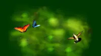 Backdrop to the movie "Wings of Life" #750216
