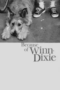 Poster to the movie "Because of Winn-Dixie" #963669