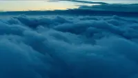 Backdrop to the movie "Up in the Air" #571856