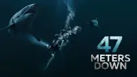 Backdrop to the movie "47 Meters Down" #113881