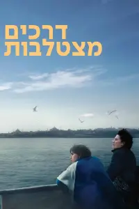 Poster to the movie "Crossing" #868118