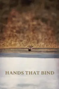 Poster to the movie "Hands That Bind" #964579