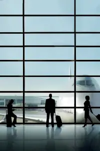 Poster to the movie "Up in the Air" #943647