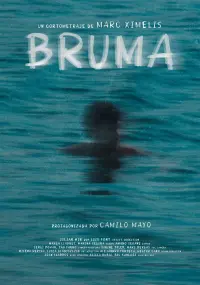 Poster to the movie "Bruma" #735501