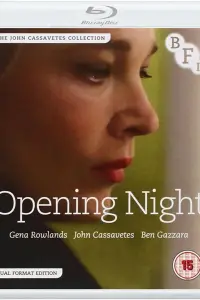 Poster to the movie "Opening Night" #1096660