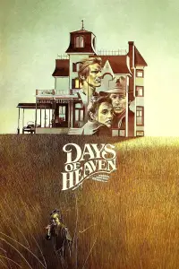 Poster to the movie "Days of Heaven" #969655