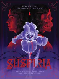 Poster to the movie "Suspiria" #953452