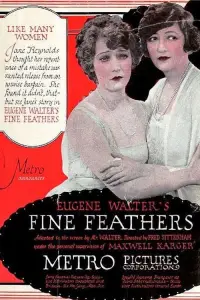 Poster to the movie "Fine Feathers" #958656