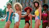 Backdrop to the movie "Miss Firecracker" #729738