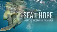 Backdrop to the movie "Sea of Hope: America
