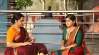 Backdrop to the movie "Sathriyan" #877957