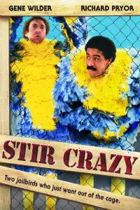 Poster to the movie "Stir Crazy" #1029638