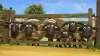 Backdrop to the movie "Shaun het schaap - Elke dag feest" #806569
