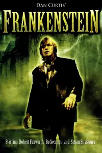Poster to the movie "Frankenstein" #985205
