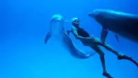 Backdrop to the movie "Dolphin Man" #824784
