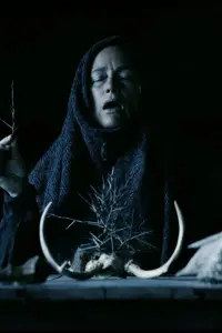 Poster to the movie "Mother of Flies" #551138