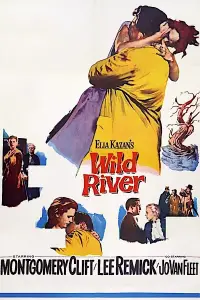 Poster to the movie "Wild River" #1169903