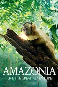 Poster to the movie "Amazonia" #708206