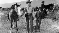 Backdrop to the movie "Cattle Drive" #888424