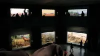Backdrop to the movie "Curiosity and Control" #782498