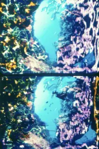 Poster to the movie "The Dante Quartet" #1209336