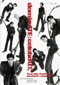 Poster to the movie "Beyond LIVE - Stray Kids World Tour〈dominATE : celebrATE〉" #1005993