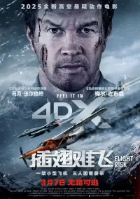 Poster to the movie "Flight Risk" #763543