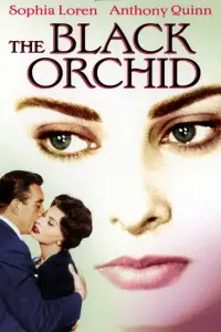 Poster to the movie "The Black Orchid" #995449